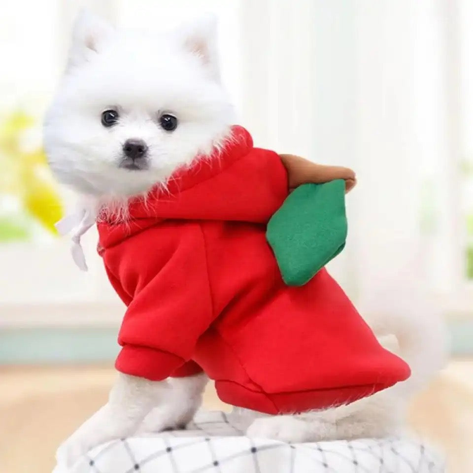 Cute Dog Hoodie Pet Fruit Clothes for Halloween, Christmas, birthday, wedding, parade, photo shooting, weekend party or daily wear.