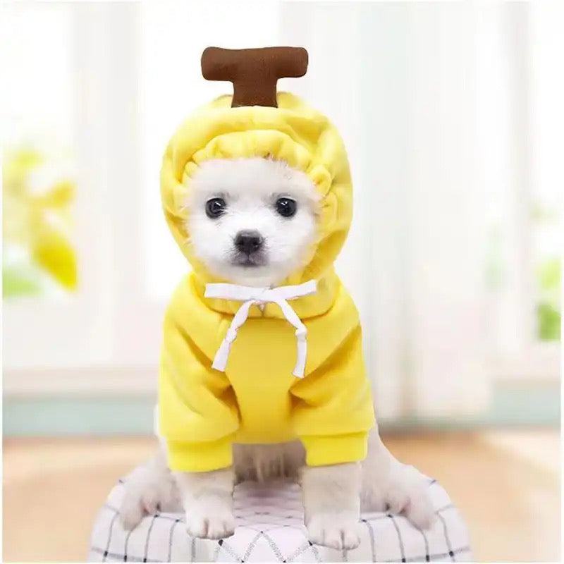 Cute Dog Hoodie Pet Fruit Clothes for Halloween, Christmas, birthday, wedding, parade, photo shooting, weekend party or daily wear.