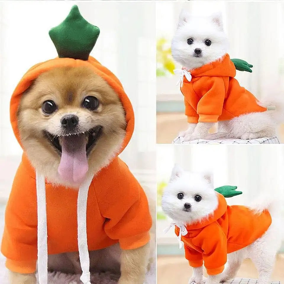 Cute Dog Hoodie Pet Fruit Clothes for Halloween, Christmas, birthday, wedding, parade, photo shooting, weekend party or daily wear.