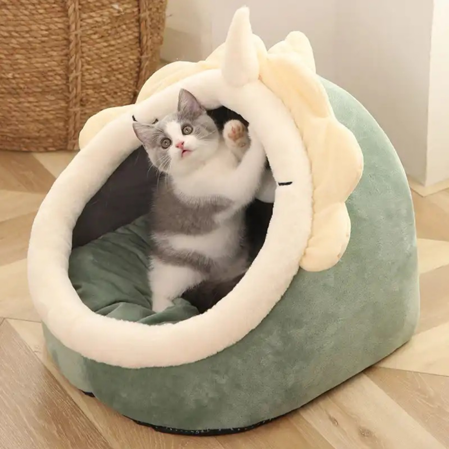 Pet Tent Cave Bed for Cats Small Dogs