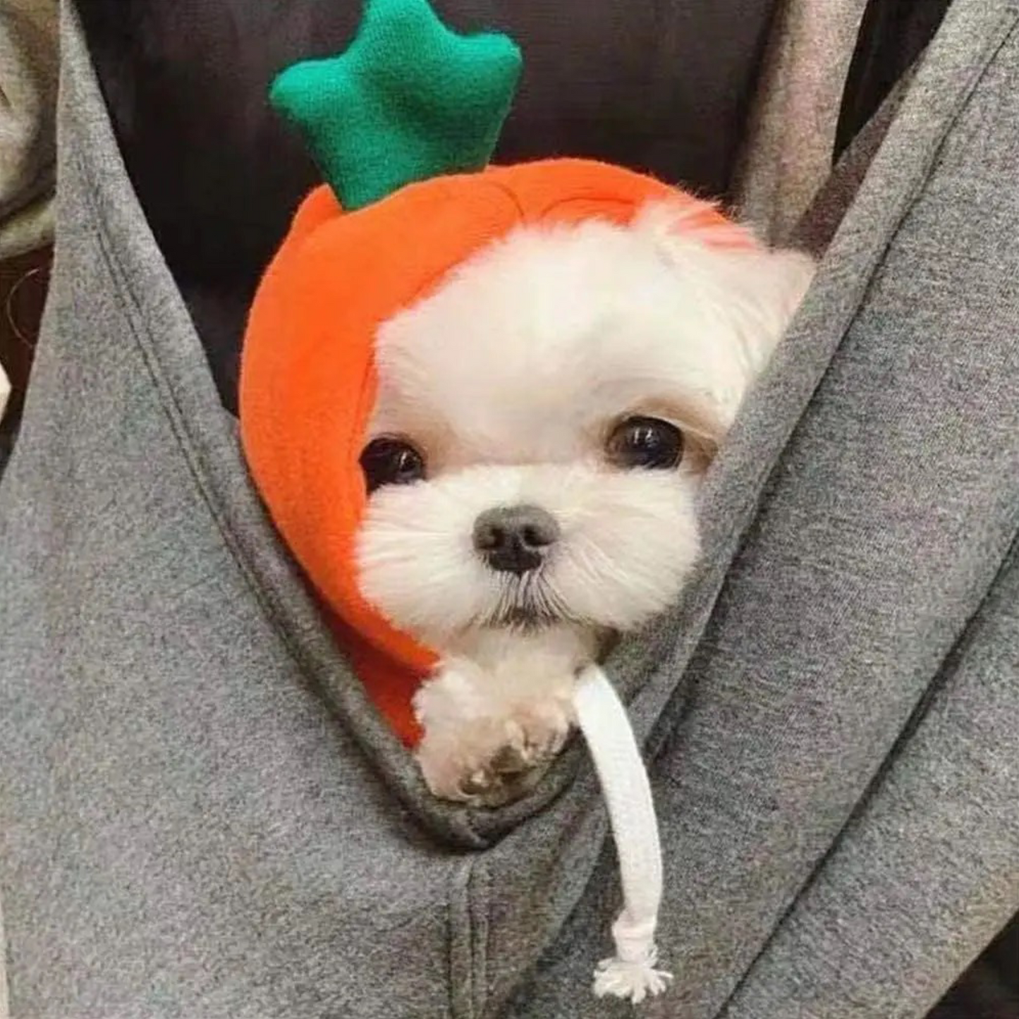 Cute Dog Hoodie Pet Fruit Clothes for Halloween, Christmas, birthday, wedding, parade, photo shooting, weekend party or daily wear.