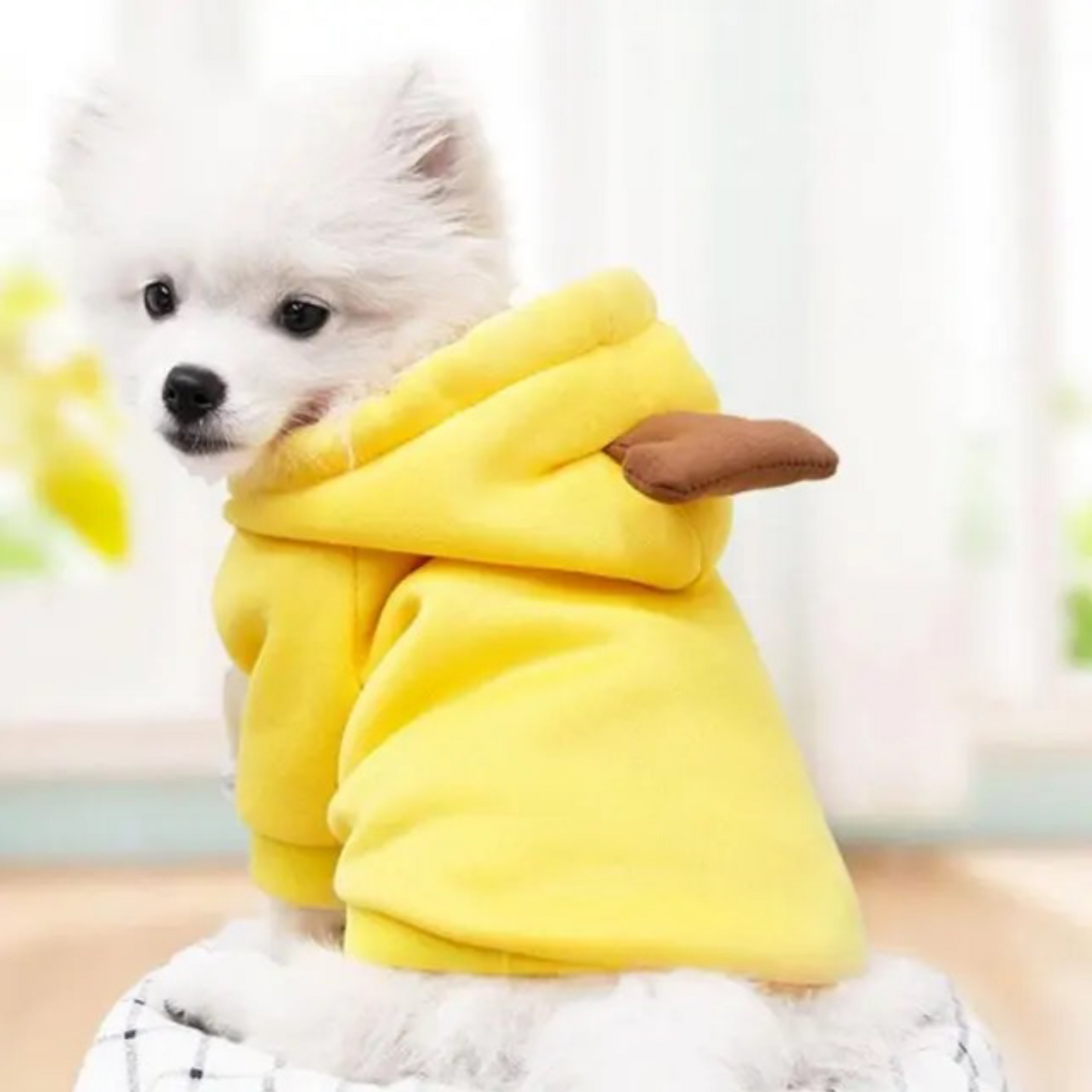 Cute Dog Hoodie Pet Fruit Clothes for Halloween, Christmas, birthday, wedding, parade, photo shooting, weekend party or daily wear.